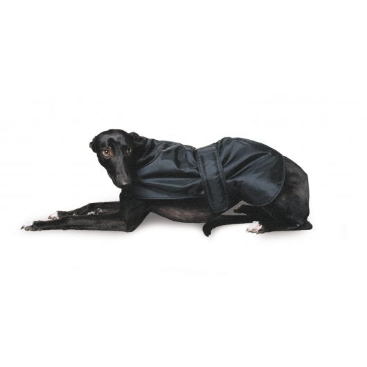 Ancol Greyhound Coat - Large