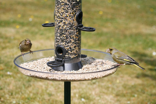 Cj Feeder Tray Large